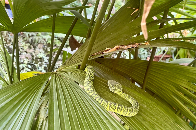 Hike or Boat Trip: Penang National Park & Garden Pick Penang National Park (Trek-In, Boat-Out) & Spice Garden