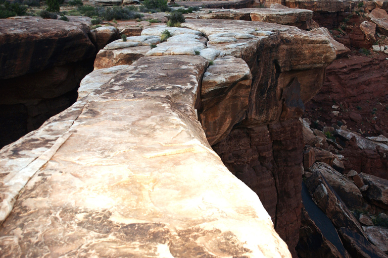 De Moab: excursion d'une journée complète dans les Canyonlands et les Arches en 4x4