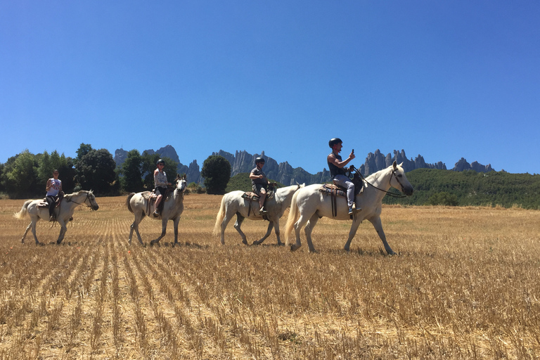 Desde Barcelona: Paseo a caballo por el Parque Nacional de Montserrat