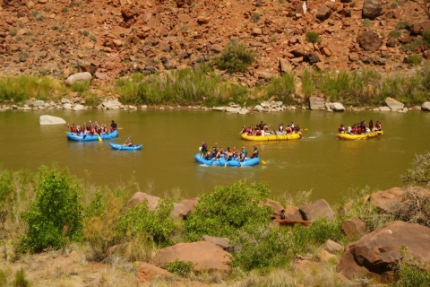 Moab: excursion d'une journée en rafting dans le ColoradoExcursion d'une journée complète en rafting dans le Colorado au départ de Moab