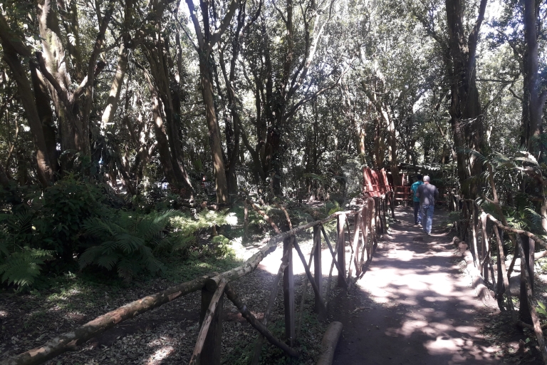 El Salvador: Cerro Verde Nationaal Park en Izalco Tour