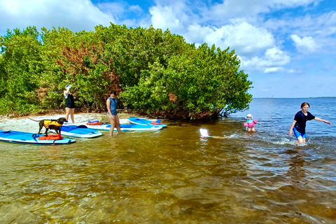 Orlando: Dolphin Clear Kayak or Paddle Board Adventure Dolphin Tour