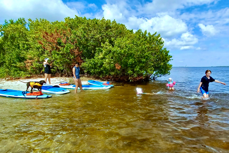 Orlando: Dolphin Clear Kayak or Paddle Board Adventure Dolphin Tour