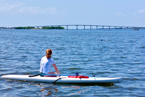 Orlando : Aventure en kayak ou en paddle board à la rencontre des dauphinsTour des dauphins