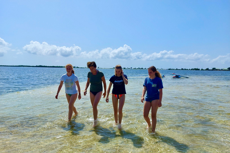 Orlando: Aventura en Kayak o Paddle Board sin DelfinesExcursión con delfines