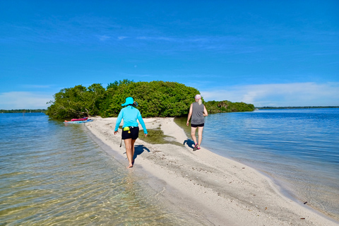 Orlando: Dolphin Clear Kayak or Paddle Board AdventureDolphin Tour