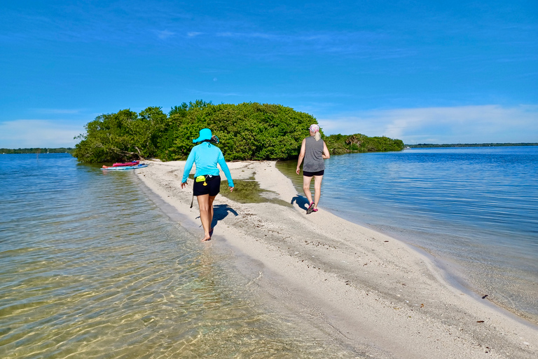 Orlando: Dolphin Clear Kayak or Paddle Board Adventure Dolphin Tour