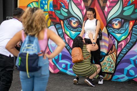Miami: The Wynwood Walls Official Guided Tour