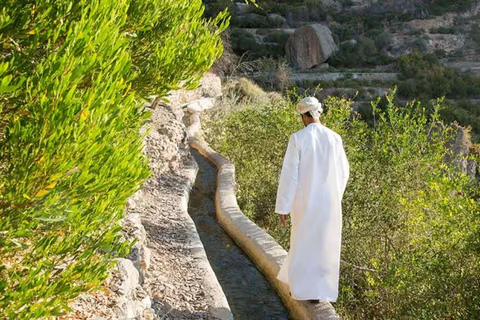 Private Jebel Akhdar Hike with Local Guide & Transfer