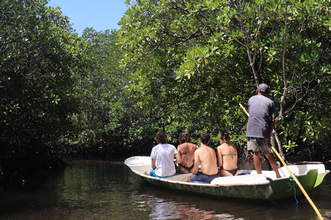 From Lembongan: Snorkeling 3 Spots, Mangrove, and Land Tour Snorkeling 3 Spots and Mangrove Tour