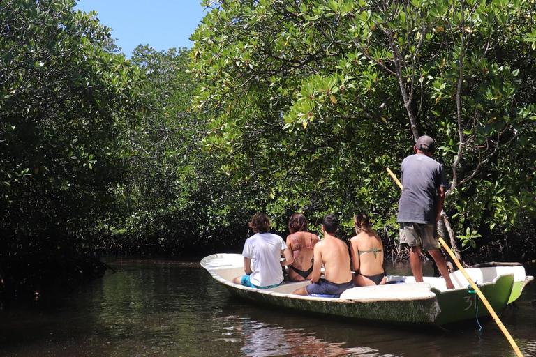 Depuis Lembongan : Plongée avec masque et tuba dans 3 endroits, mangrove et excursion à terrePlongée en apnée sur 3 sites sans déjeuner