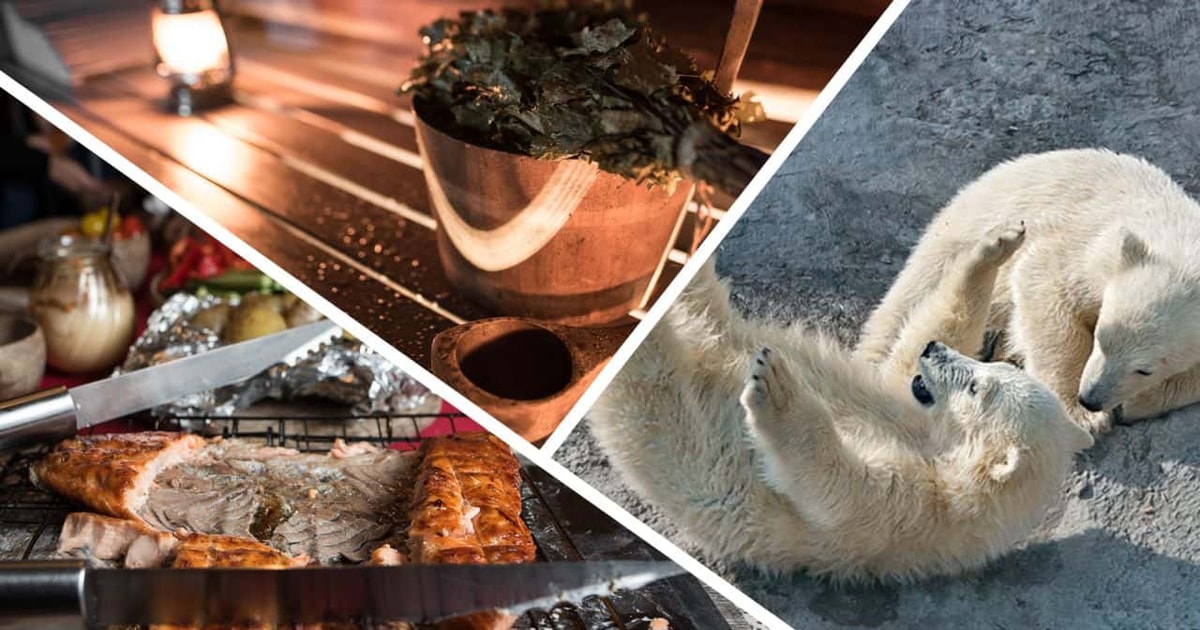 Lapland Full Day Tour with Lunch & Dinner GetYourGuide