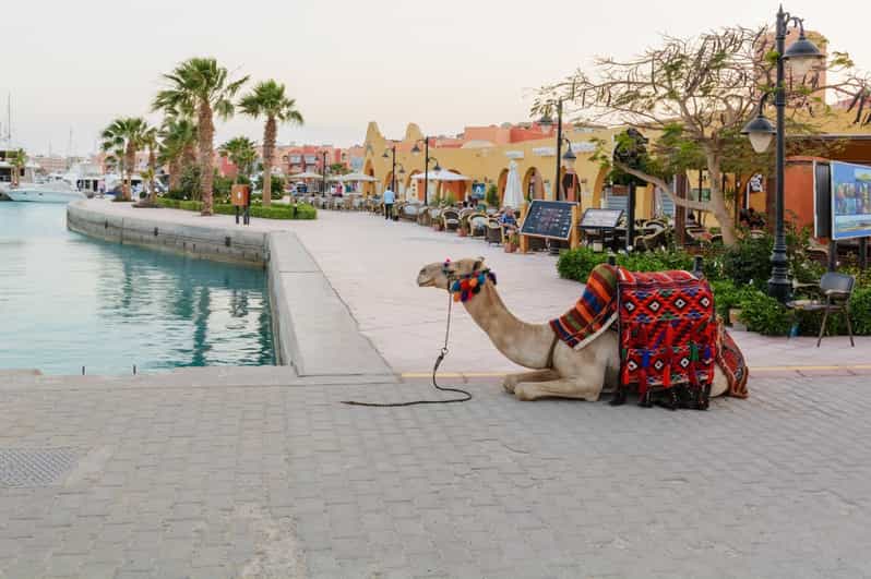 Marsa Alam Hurghada Stadt Highlights mit Mittagessen & Shopping GetYourGuide