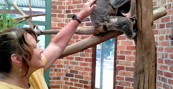 Ab Sydney: Blue Mountains, Wanderungen, Tiere & Abendessen