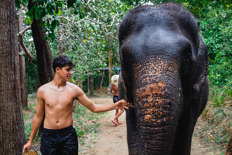 Krabi: Sessão de banho de elefante no abrigo de elefantes de KrabiKrabi: sessão de banho de elefante no Krabi Elephant Shelter