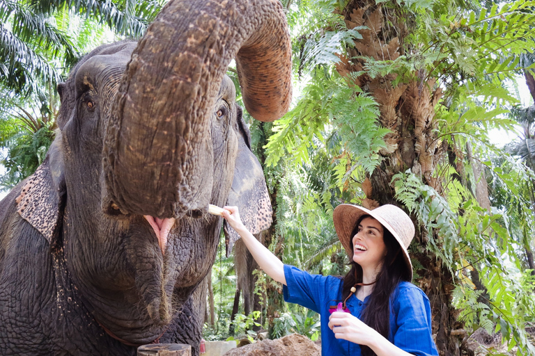 Krabi: Elefantbad på Krabi Elephant ShelterKrabi: Elefantbad vid Krabi Elephant Shelter