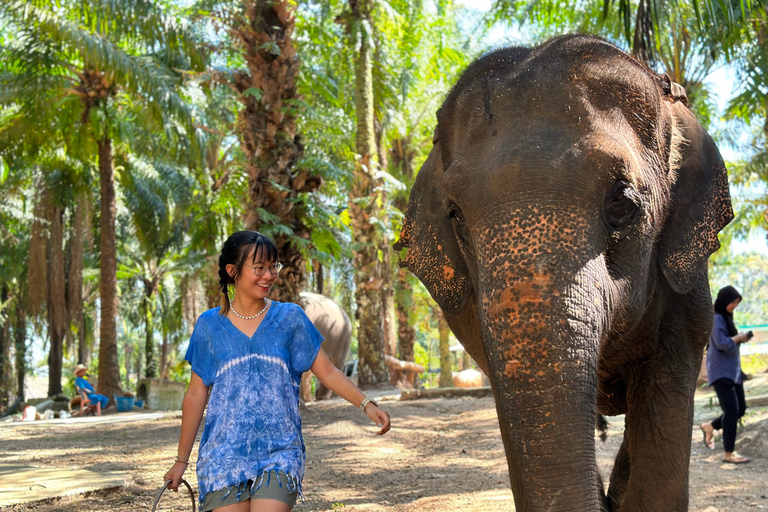 Krabi: Elefantbad på Krabi Elephant ShelterKrabi: Elefantbad vid Krabi Elephant Shelter