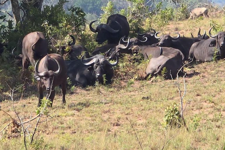 Diani: Guided day trip to Shimba Hills Reserve with lunch