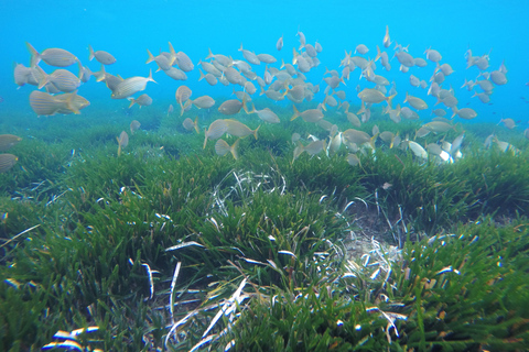 San José: Cabo de Gata Natural Park Kayak and Snorkel Tour
