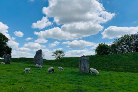 Au départ de Londres : Visite en petit groupe d'Avebury et Stonehenge
