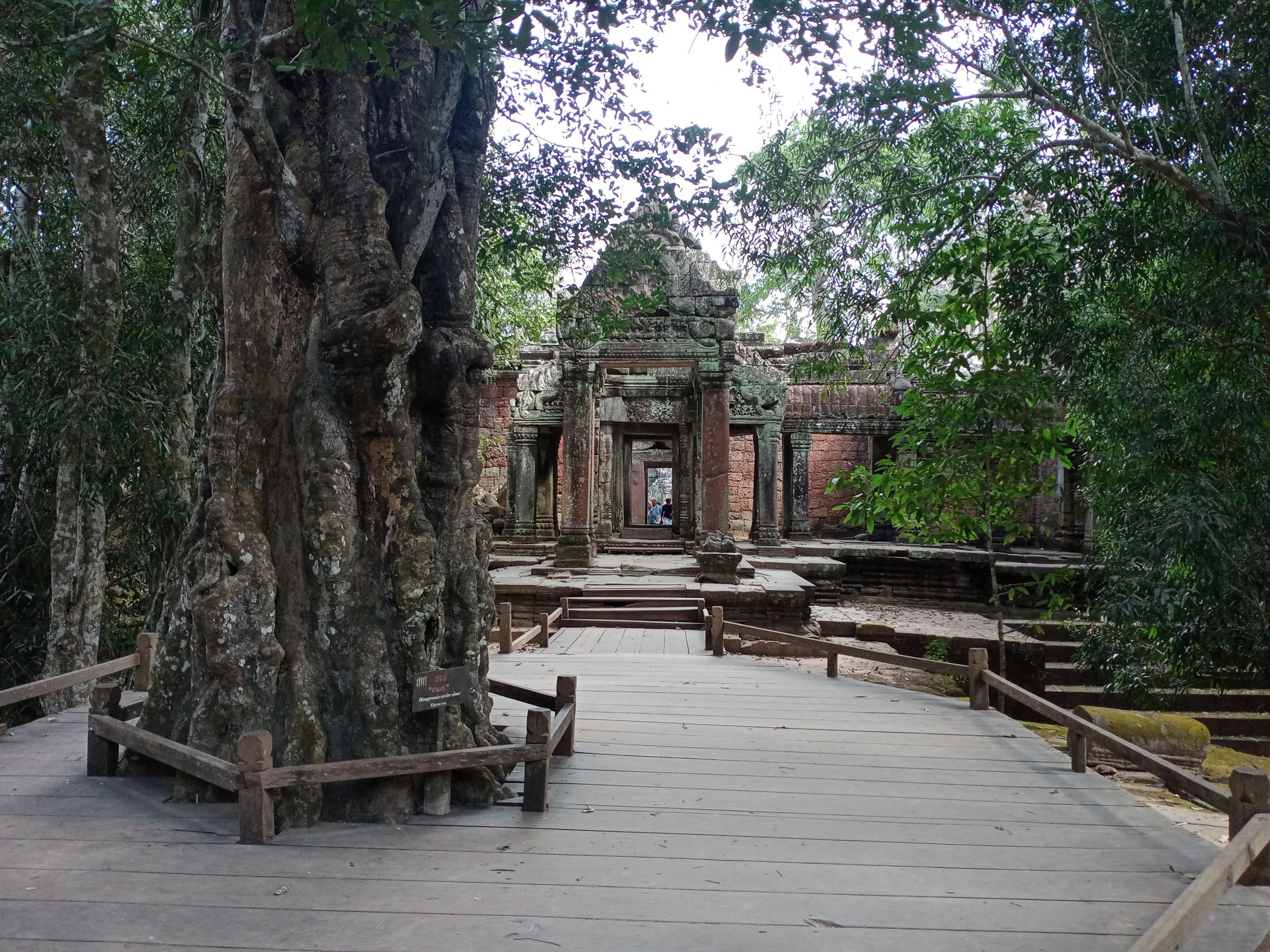 1-tägige private Angkor-Tempel-Tour ab Siem Reap