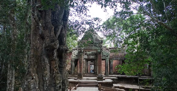 1-Day Private Angkor Temple Tour from Siem Reap