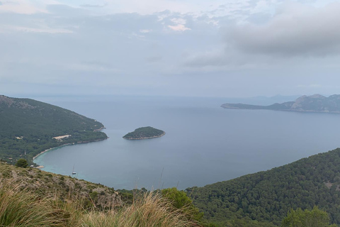 De Alcudia: Sunset Formentor Tour com Cava