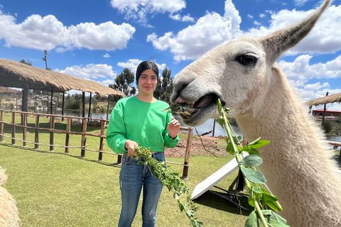 Cusco: Archeological Sites Tour and Forest Photo Experience
