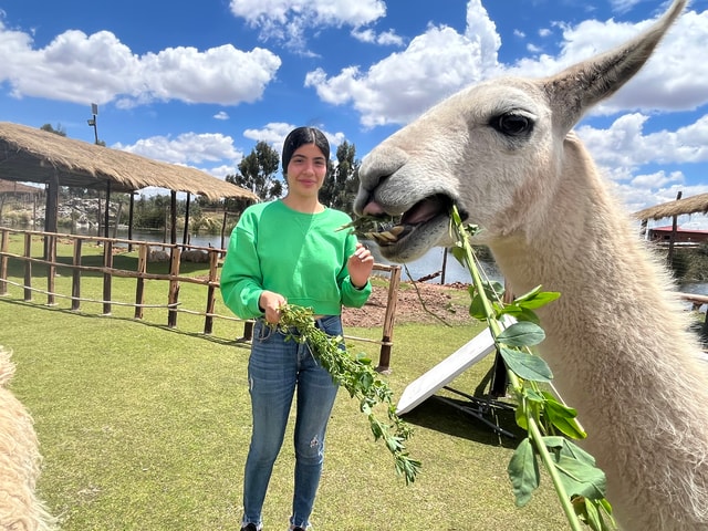 Cusco: Archeological Sites Tour and Forest Photo Experience