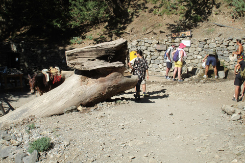 Ab Agia Pelagia, Iraklio & Malia: Samaria-Schlucht-TagestourAbholung in Iraklio und Ammoudara