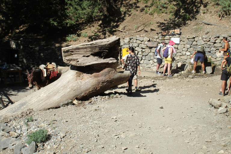 Garganta de Samaria: Excursión de un día desde Agia Pelagia, Heraklion y MaliaRecogida en Agia Pelagia, Lygaria y Fodele