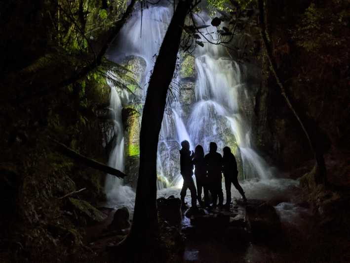 Rotorua : Visite nocturne des vers luisants avec un guide