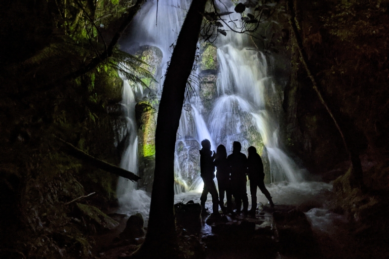 Rotorua: Nächtliche Glühwürmchentour mit einem Guide