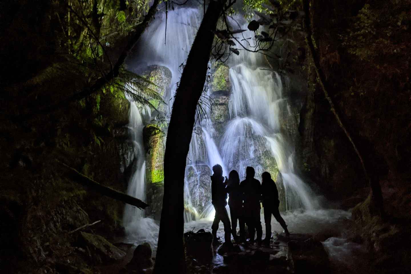 Rotorua: Nocturnal Glow-Worm Adventure Tour with a Guide - Rotorua: Nocturnal Glow-Worm Adventure Tour with a Guide