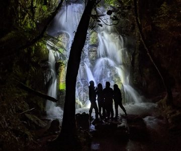 Rotorua: Nocturnal Glow-Worm Adventure Tour with a Guide