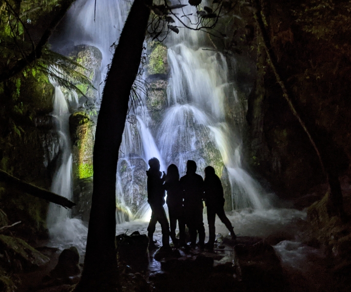 Rotorua: Nocturnal Glow Worm Tour with a Guide