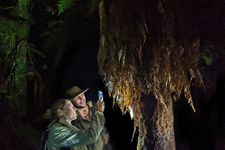 Rotorua: Nocturnal Adventure Glow-Worm Tour