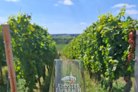 Rheingau: Wine Tour with Tasting
