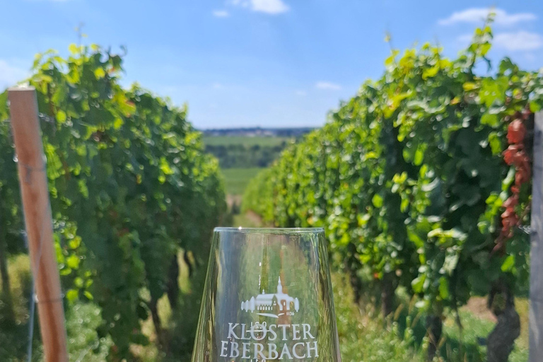 Rheingau: Wine Tour with Tasting