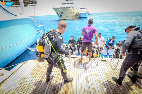 Hurghada: Dos inmersiones en Hurghada Excursión de un día en barcoGrupo o Familia Hasta 20 personas