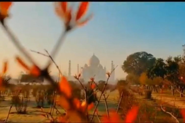 Van Delhi: Taj Mahal & Agra Fort Tour door Gatimaan Express2e klas trein met auto en toegangsbewijs voor gids
