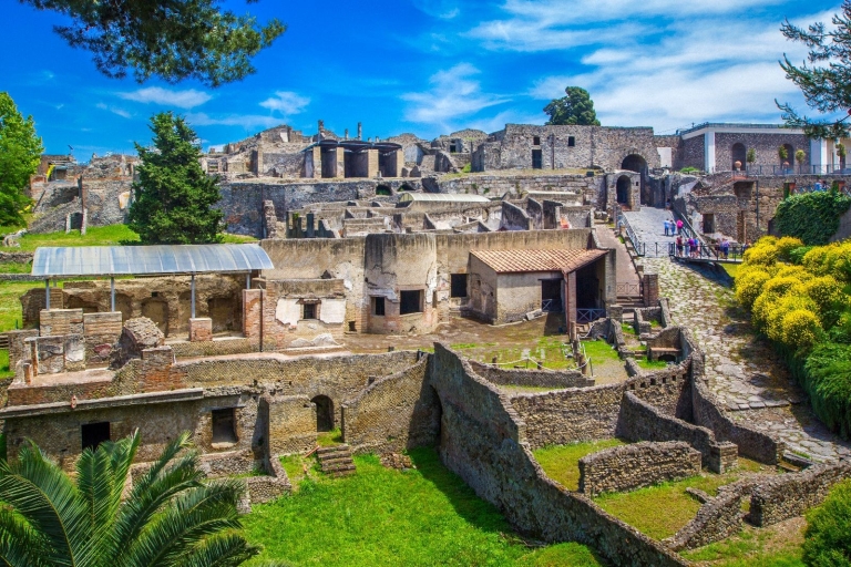 Z Pompejów: całodniowa wizyta w Pompejach i WezuwiuszuZ Pompejów: całodniowa wizyta na stanowisku archeologicznym P