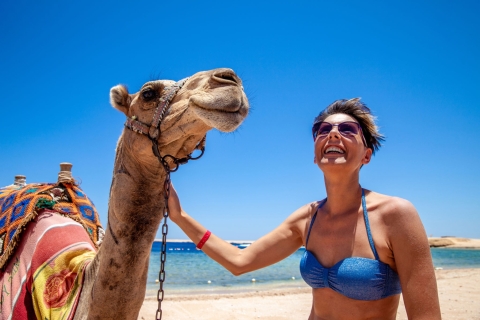 Agadir: kameelrit op de Flamingo-rivier met barbecuedinerKameelrit met barbecuediner