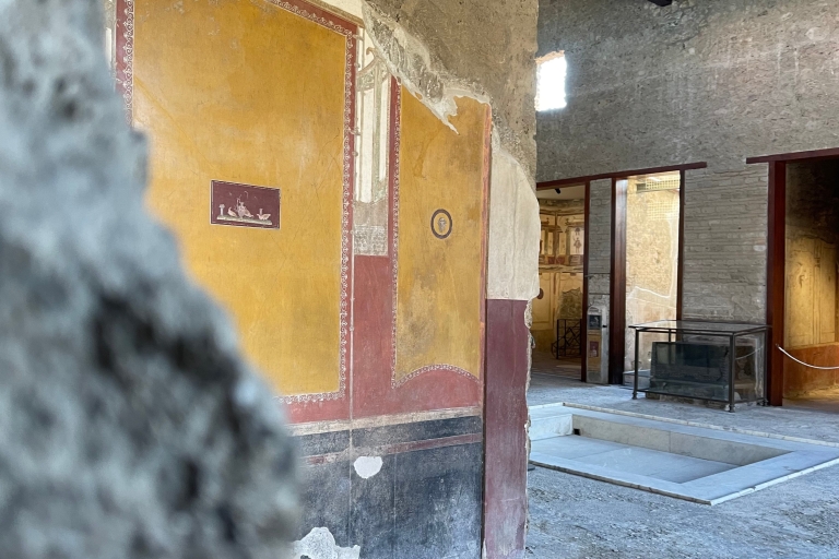 Z Neapolu: wycieczka z przewodnikiem po Pompejach z biletami bez kolejki