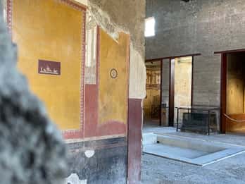 From Naples: Pompeii Guided Tour with Skip-the-Line Tickets