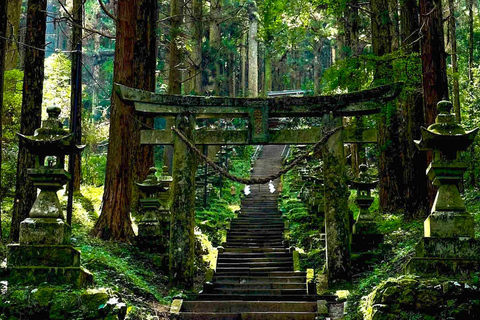 Fukuoka: Mt. Aso Volcano, Kusasenri & Grasslands Day Tour 7:40 Hakata Station Chikushi Exit Lawson Meetup