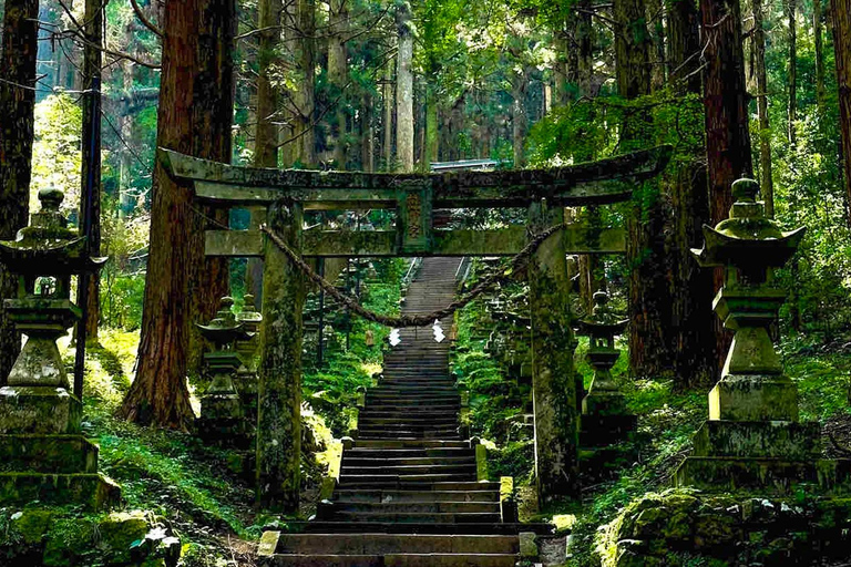 Fukuoka: Mt. Aso Volcano, Kusasenri & Grasslands Day Tour 7:40 Hakata Station Chikushi Exit Lawson Meetup