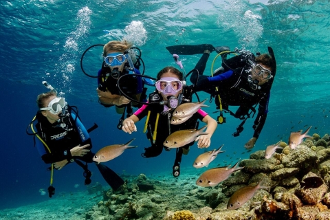 Hurghada: Orange Island With Diving, Snorkeling and Lunch