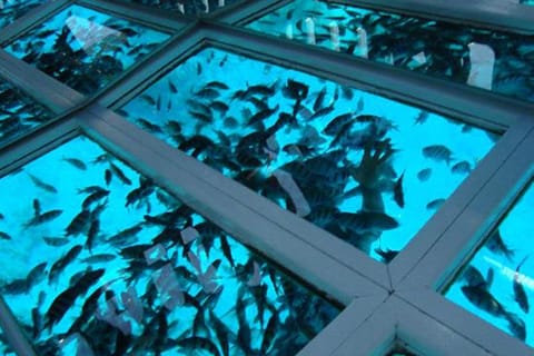 Sharm El Sheikh: City & Red Sea Semi-Submarine Tour w/ Lunch
