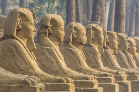 Cairo to Luxor 2 Night's / 5* Hotel / 2 Day Trips by Plane